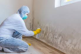 Best Mold Odor Removal Services  in Lewiston, UT